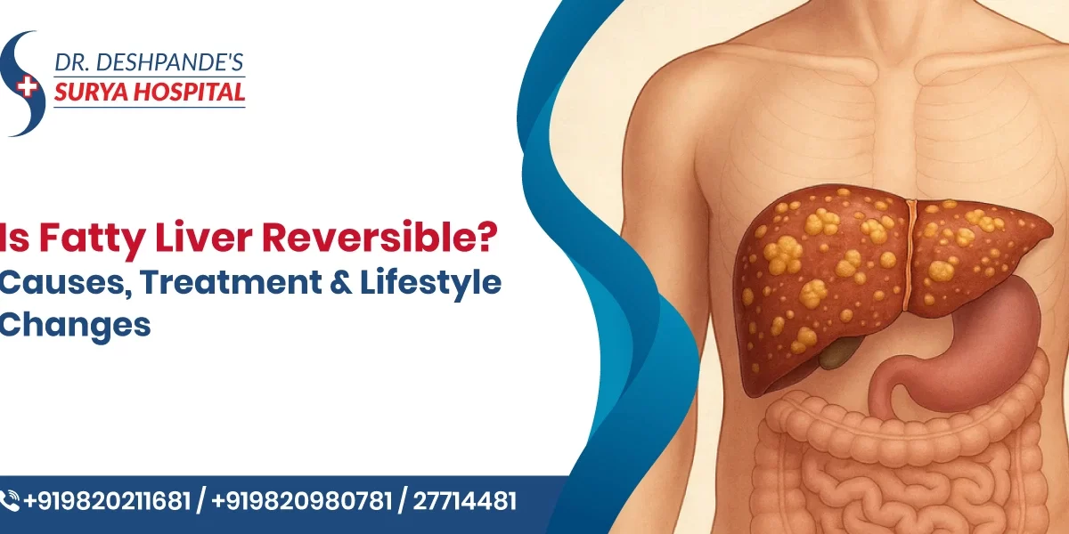 Is Fatty Liver Reversible? Causes, Treatment & Lifestyle Changes