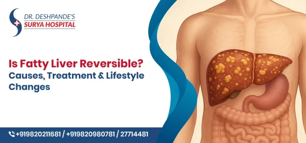 Is Fatty Liver Reversible? Causes, Treatment & Lifestyle Changes